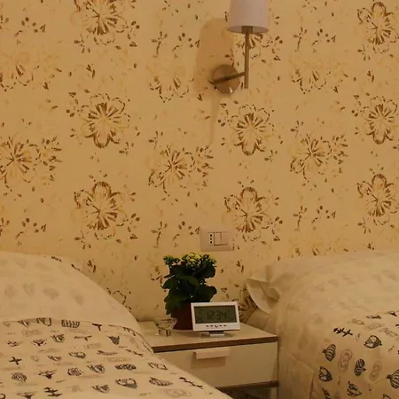 Tongfub&b Roma
